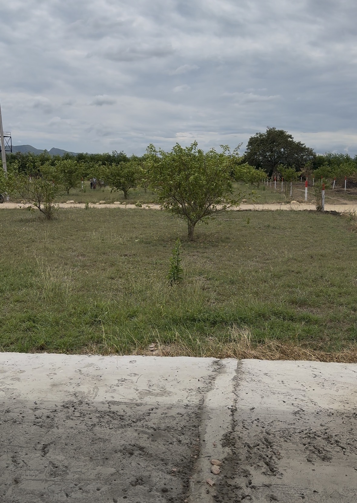 Proyecto en Girardot